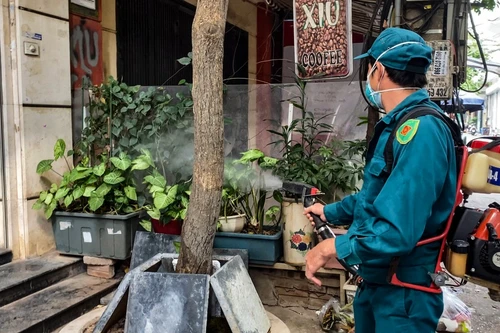 Hà Nội xây dựng bản đồ và xác định vùng dịch tễ bệnh ký sinh trùng 