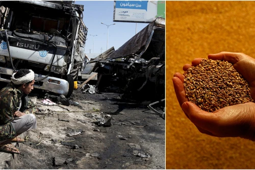 Chương trình Lương thực Thế giới: Năm 2021 có thể là khủng hoảng “thảm khốc”