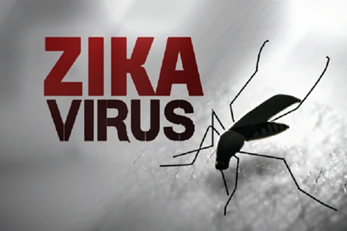 Mỹ thử nghiệm vaccine phòng virus Zika trên người