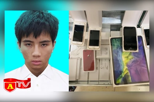 Nhân viên cửa hàng điện thoại trộm cắp lô hàng gần 300 triệu đồng