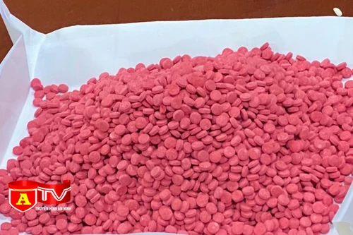 Những thủ đoạn vận chuyển ma túy tinh vi của tội phạm