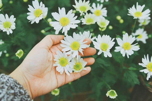 [ẢNH] 20-10 sắp tới, những món quà bất ngờ dành cho phái đẹp