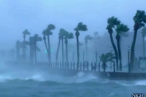 Gần 900 người đã thiệt mạng vì bão Matthew