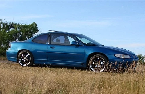 Treo thưởng xe hơi để tìm chó lạc