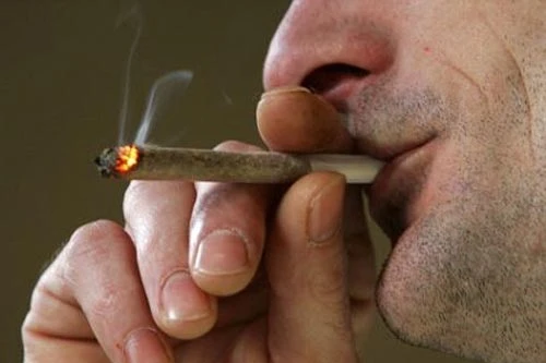 Bé 8 tháng tuổi nguy kịch do ăn phải cần sa