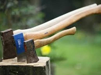 Con hoảng loạn chứng kiến cảnh cha giết mẹ rồi tự sát