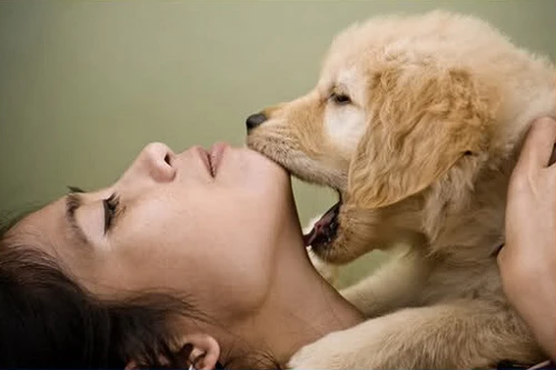 Nghi bạn gái không chung thủy, bắt làm "chuyện ấy" với... chó 