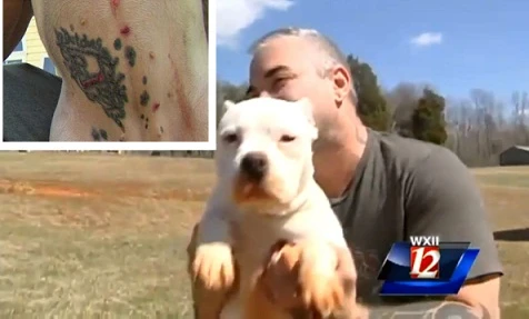 Cộng đồng mạng “dậy sóng” vụ xăm hình cho chó