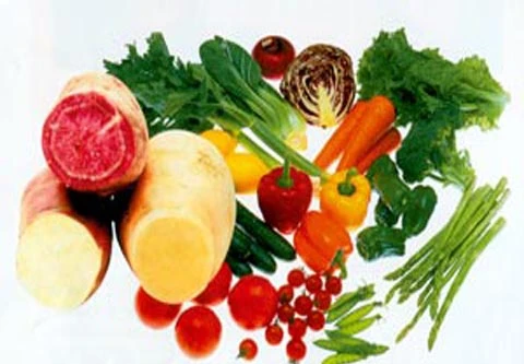 Thực phẩm bồi bổ trí não