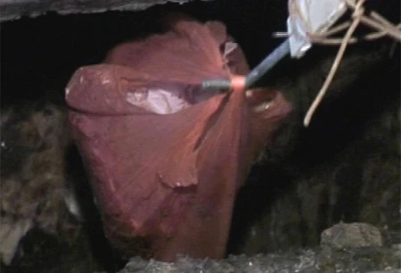 Mẹ tuổi teen ném con vào thùng rác ngay sau khi sinh