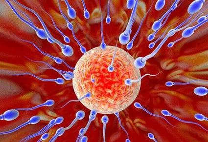 Điểm mặt các nguyên nhân làm giảm lượng tinh binh