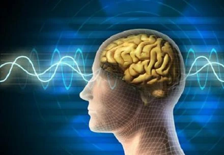 Những cách tăng cường trí não