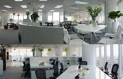 Ánh sáng tự nhiên có lợi cho sức khỏe dân văn phòng