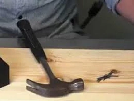 Vợ cấu kết với người tình, giết chồng dã man