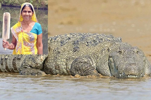 Mẹ dùng chày đánh trả cá sấu, giải cứu cho con gái 
