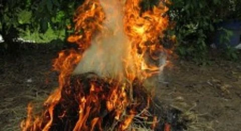 Bắt giữ nghi can độc ác giết chết 3 con đẻ ở Hà Giang