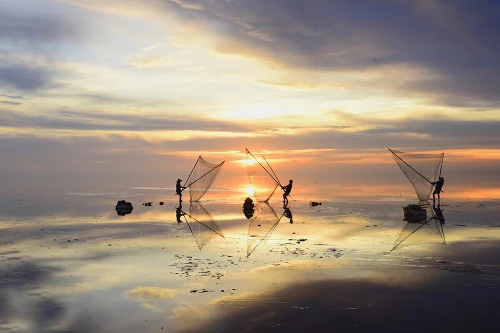 Khuôn hình biển lúc rạng đông 