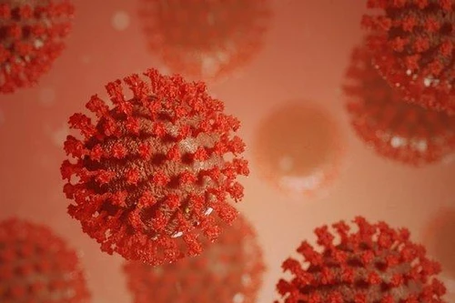 Những tác động tích cực không ngờ của virus SARS-CoV-2 