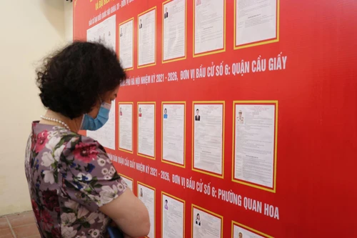 Cử tri có quyền chọn lựa bầu cử tại nơi cư trú hoặc nơi tạm trú