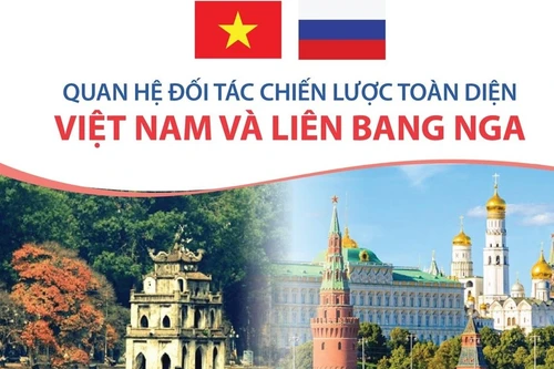 Xung lực mới thúc đẩy quan hệ Việt Nam - Nga