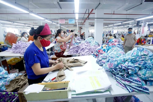 Kinh tế Việt Nam năm 2021: Vị thế, đà phục hồi và tăng trưởng 