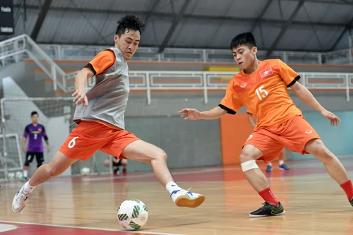 Trưởng đoàn Trần Anh Tú: "World Cup Futsal không có chỗ cho sự sợ hãi"