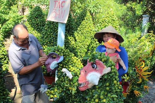 Bộ cây quất cảnh hình khỉ độc, lạ dịp Tết Bính Thân 2016