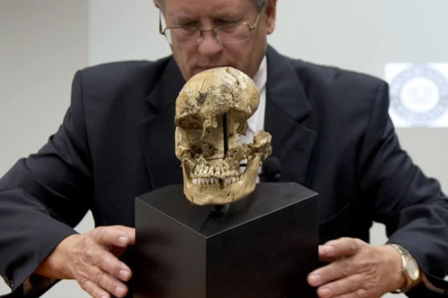 Bằng chứng người ăn thịt người đã rõ