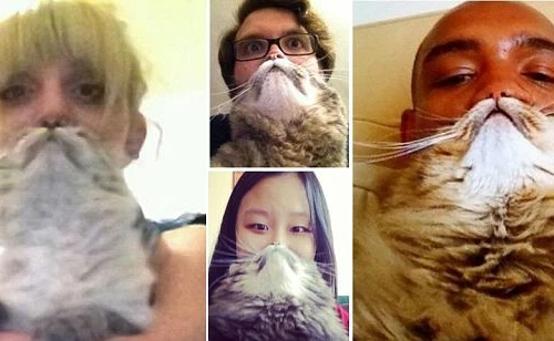 Rộ mốt chụp ảnh "ria mèo" 