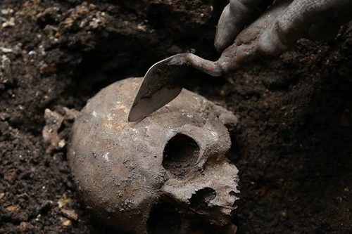 Phát hiện nghĩa địa người điên cực lớn