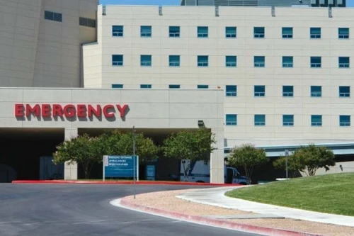 Nạn ăn cắp tiền từ… xác chết