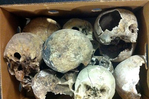 Kinh dị: Đào mộ, móc trộm gần 60 hộp sọ