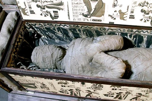 Tìm thấy xác ướp Ai Cập trên mái nhà người dân ở Đức