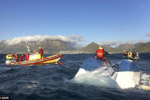 Sống sót sau khi ngâm mình 4h giữa biển đầy cá mập trắng