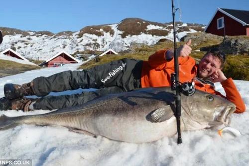 Bắt được cá tuyết lớn nhất thế giới