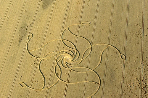 Lại xuất hiện vòng tròn huyền bí của người ngoài hành tinh?