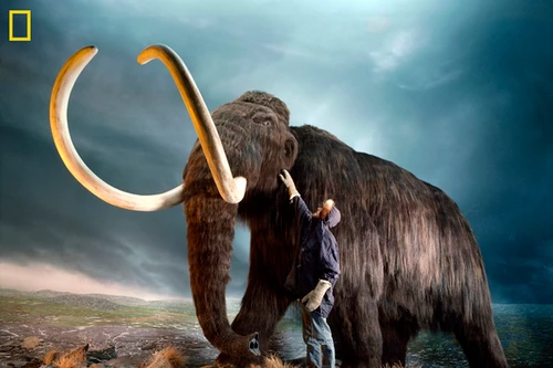 6 loài động vật tuyệt chủng có thể được tái sinh