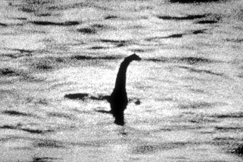 Thế giới của những sinh vật bí ẩn nhất trái đất