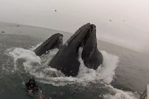 Giây phút đối mặt với tử thần nặng 40 tấn.