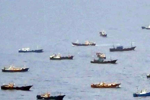 Nhật Bản xử lý tàu Trung Quốc khai thác trộm san hô