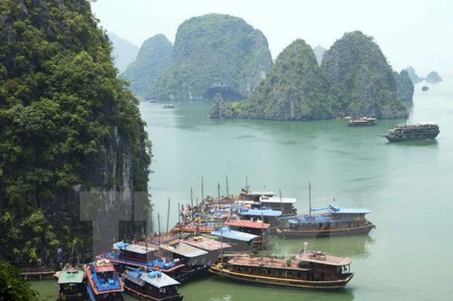 Quảng Ninh tổ chức Hoa hậu Du lịch quốc tế 2015 