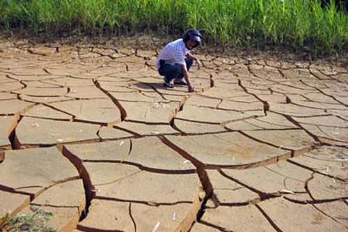 Chớ đổ tội cho khí hậu