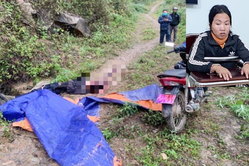 Chuẩn bị vượt biên, người phụ nữ ‘rủ’ bạn tình giết chồng sa lưới