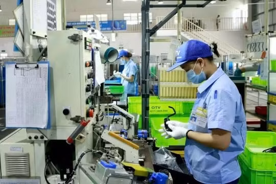 Doanh nghiệp FDI tăng mạnh về số lượng và nguồn vốn