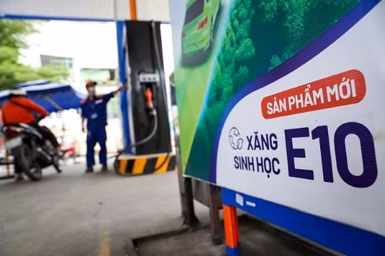 Giá bán xăng sinh học E10 RON95-V cao nhất 25.120 đồng/lít