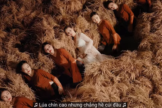 Tranh cãi câu hát về "lúa chín": Êkíp Hòa Minzy sửa lời, một nhạc sĩ lên tiếng giải thích "Vì sao lúa chín cúi đầu?"