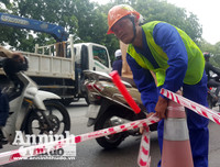 Hà Nội: Mời người dân cùng giám sát việc đánh chuyển 1.159 cây xanh trên đường Phạm Văn Đồng