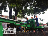 Hà Nội: Mời người dân cùng giám sát việc đánh chuyển 1.159 cây xanh trên đường Phạm Văn Đồng