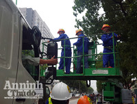 Hà Nội: Mời người dân cùng giám sát việc đánh chuyển 1.159 cây xanh trên đường Phạm Văn Đồng