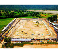 Tưng bừng Lễ hội đua bò Bảy Núi cùng Number 1 Cola